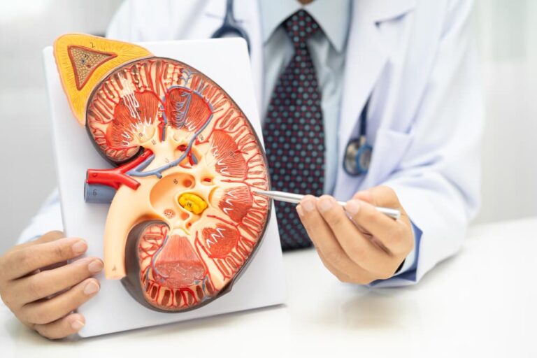 التهاب الكلى والمسالك البولية