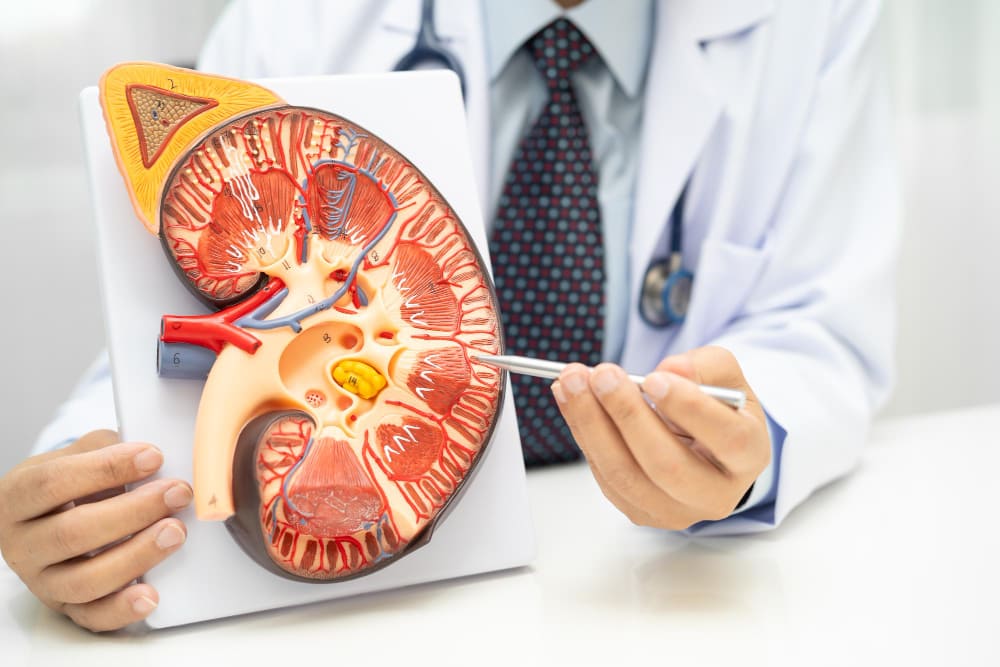 التهاب الكلى والمسالك البولية