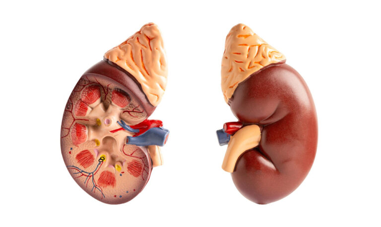 الفشل الكلوي الحاد والمزمن