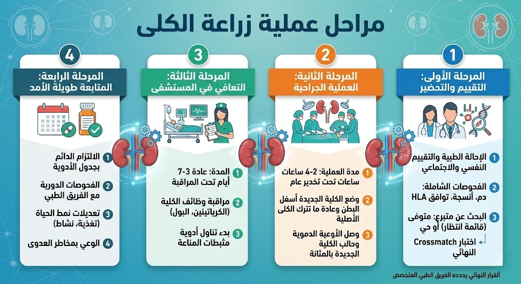 مراحل عملية زراعة الكلى