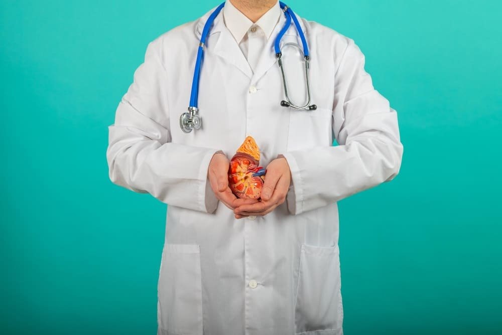 Guide to Understanding Kidney Transplant Rejection